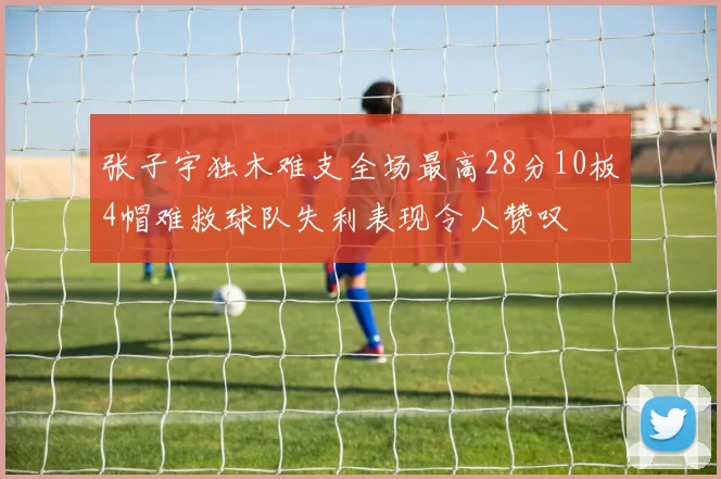 张子宇独木难支全场最高28分10板4帽难救球队失利表现令人赞叹